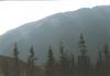 nizketatry90